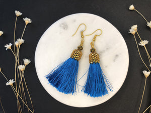 Tassel & Chaquira Earrings